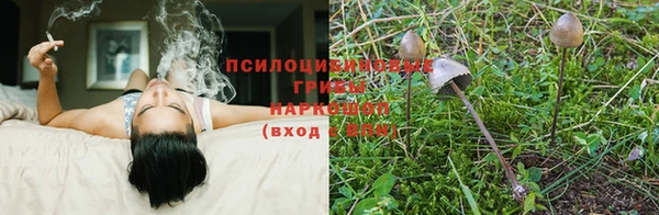 не бодяженный Абдулино