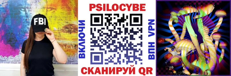 Псилоцибиновые грибы мухоморы  купить наркотик  Прокопьевск 