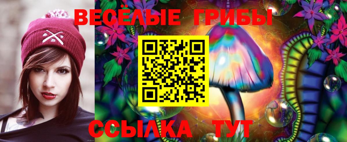 Галлюциногенные грибы Psilocybine cubensis  магазин  наркотиков  Прокопьевск  Вход с VPN 